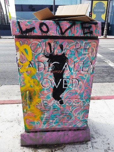 a utility box painted with colors that match the transgender flag and that says "you are radically loved"